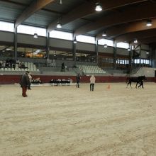 Concours Jeunes Chevaux Endurance 2018 @LEWB