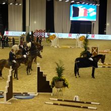 CSI1* - 7-11-2015