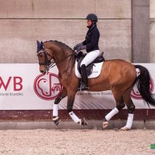 Françoise Hologne-Joux ©photographe-equestre.be