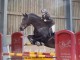 Uvano Jumper