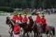 Ch Europe Equipe Allemagne 2016