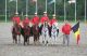 Equipe Ch. du Monde par Equipe 2016 Irlande