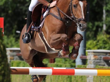 Jean-Jacques Lorquet (Photo: Tops International Arena)
