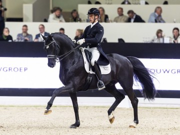 Justin Verboomen et Zonik Plus (© FEI/Leanjo de Koster)