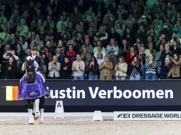 © FEI/Leanjo de Koster