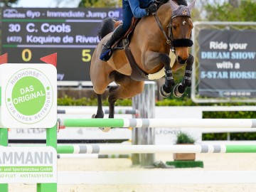 Cyril Cools (© 1clicphoto/MET Oliva)