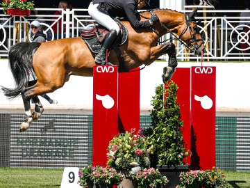 Rik Hemeryck (© PSV/Le Printemps des Sports Equestres)