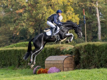 Lara et Tara vh Leliehof (Photo d'archive © Hippo Foto Media - Dirk Caremans)