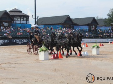 Edouard Simonet - Attelage à 4 chevaux - JEM Tryon 2018 @Equifans