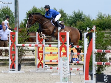 Eragon OM - Championnat des Jeunes Chevaux de Belgique 6 ans - Gesves 2016 - Polilux (c)