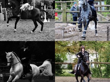 photo de 4 gagnants (WE4 Masters à WE1 Préliminaire)
