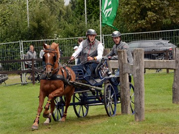 Gilles Pirotte - 1 Poney à Ch Monde Minden (c) Attelage Infos