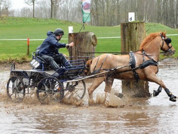 Mené par Gilles Pirotte, Rubens remporte le CAI3* d'Exloo du haut de ses 21ans.