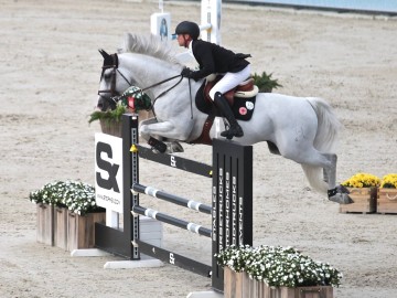 Jérôme Guéry - Alicante - Knokke Hippique 2017