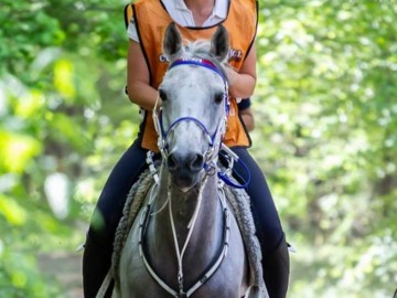 Louna Schuiten - Sabah du Courtisot - Ermelo 2018 @Facebook Louna Schuiten