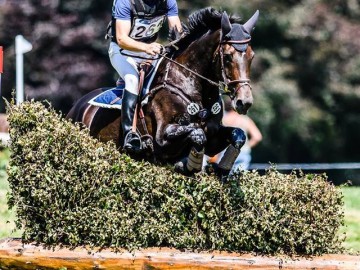 Roland Quoidbach et Fidjy des Mélèzes - Le Haras au Pin - août 2017 - Digital Clickx (c)