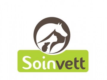 Soinvett