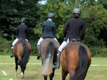 SRNC Irlande juillet 2016 - Round 1 dressage - Marijke/Kirsten/Julie (c) Regina Rahls et Tara Gottmann