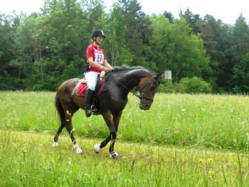 TREC Brachfeld - mai 2018 (c) Marc Renard