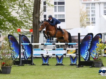 Yves Vilain - Belle Fée - CSI3 Maubeuge (FRA) - avril 2017 - Psv Photo (c)