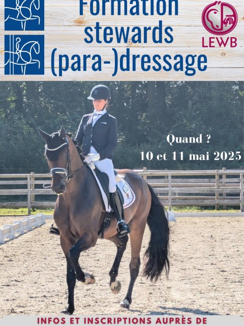 Formation/recyclage stewards (para-)dressage 2025