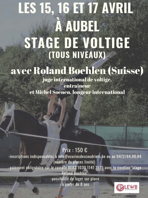 Stage de voltige avec Roland Boehlen à Aubel