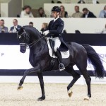 Justin Verboomen et Zonik Plus (© FEI/Leanjo de Koster)