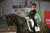 Antonia Arl - Equestricons Bolita - 2016 (c)Equnews