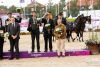 Equipe belge attelage 3ème aux CE Göteborg 2017 (c) HippoEvent Charlotte Widell