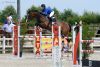 Eragon OM - Championnat des Jeunes Chevaux de Belgique 6 ans - Gesves 2016 - Polilux (c)