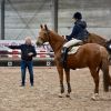 Marc Goffin assurait les conseils à cheval (Photo : LEWB)