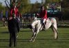 Jérôme Guéry et Garfielf de Tiji des Templiers - CSIO5* Lummen - Avril 2017