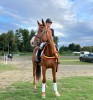 Championnats de Belgique des Jeunes Chevaux de Concours Complet à Waregem - Lara de Liedekerke @Facebook Lara de Liedekerke