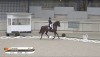 Larissa Pauluis et First Step Valentin dans le Grand Prix Spécial à Aix-la-Chapelle - 1-04-2023 @Facebook Larissa Pauluis