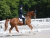 Laureen Poncelet et Andretti au CDI2* de Compiègne @ Patricia Rahier