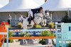 Grégory Wathelet (© Desert International Horse Park)